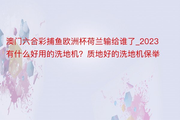 澳门六合彩捕鱼欧洲杯荷兰输给谁了_2023有什么好用的洗地机？质地好的洗地机保举