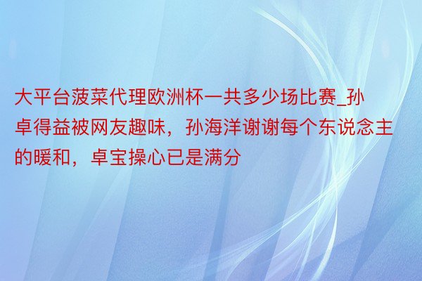 大平台菠菜代理欧洲杯一共多少场比赛_孙卓得益被网友趣味，孙海洋谢谢每个东说念主的暖和，卓宝操心已是满分