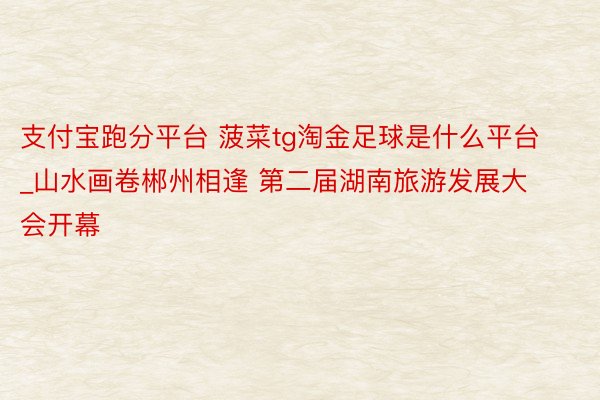 支付宝跑分平台 菠菜tg淘金足球是什么平台_山水画卷郴州相逢 第二届湖南旅游发展大会开幕