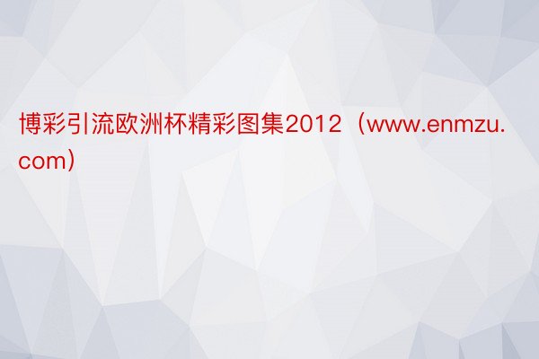 博彩引流欧洲杯精彩图集2012（www.enmzu.com）